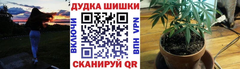 Магазины продажи наркотиков Грязовец СОЛЬ  Меф мяу мяу  АМФ  NBOMe  ГАШИШ  Cocaine 