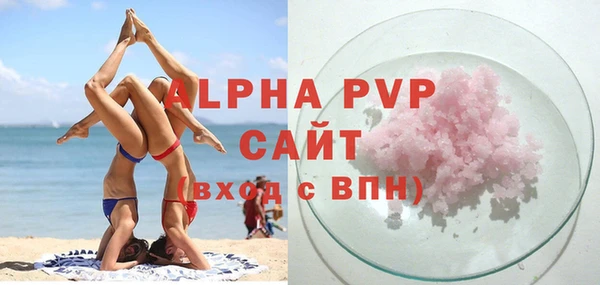 крисы Бородино
