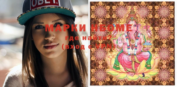 крисы Бородино