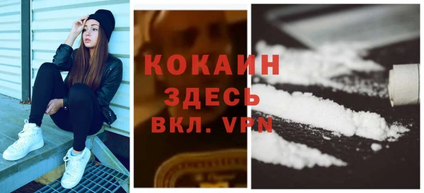 крисы Бородино