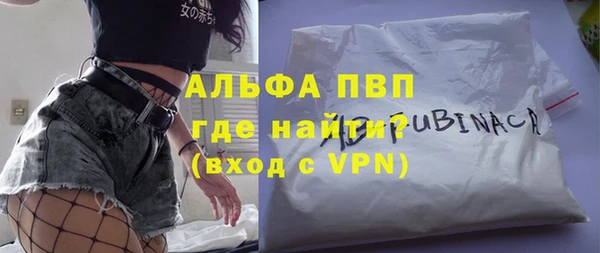 крисы Бородино