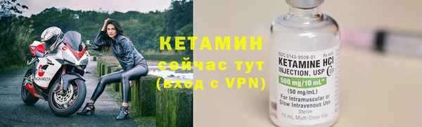 крисы Бородино