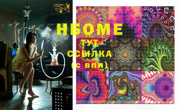крисы Бородино