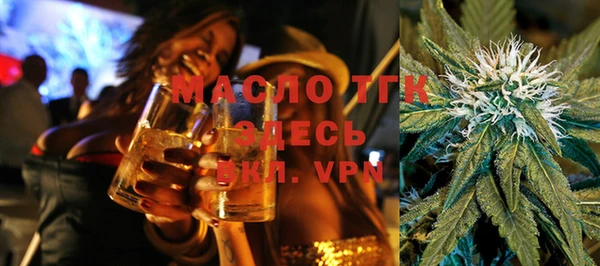 крисы Бородино