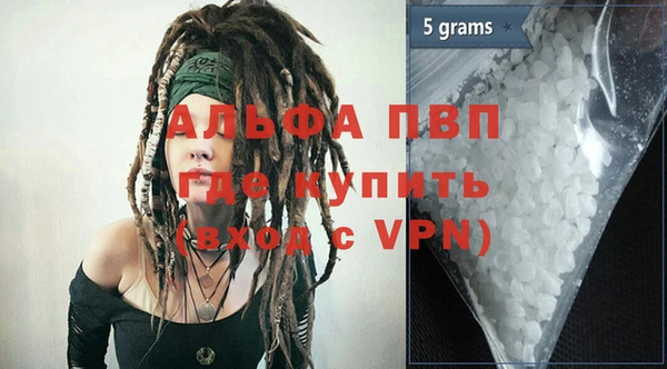 крисы Бородино