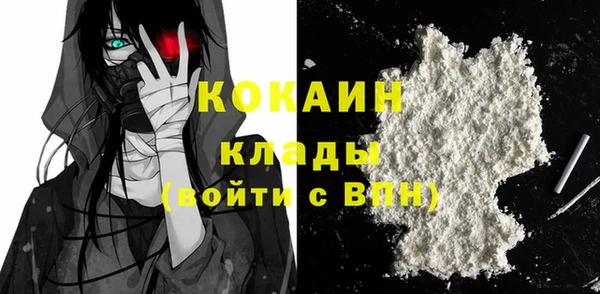 крисы Бородино
