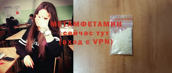 крисы Бородино