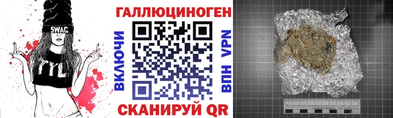 Псилоцибиновые грибы Psilocybe Грязовец